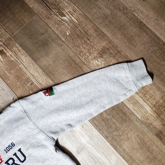 Manav Premier Clothing | Welsh Rugby | Hooded Sweatshirt | Size 8 | Pre-Owned - Picture 14 of 16